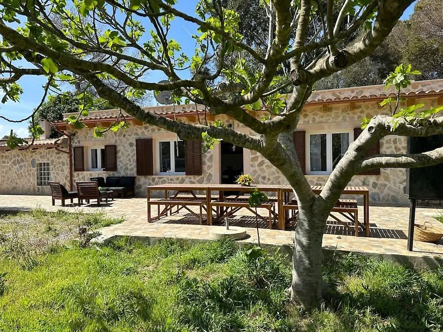 Willa Finca Roberto Can Picafort  Dom wakacyjny Can Picafort (Mallorca)